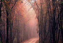 绝杀!湖人遭18分逆转,东契奇22中8,里夫斯30分准绝杀!却遭吉迪反绝杀!.