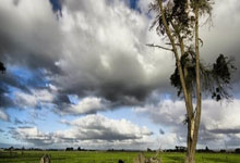 [CBA]全明星星锐赛：星锐一年级VS清华大学队 集锦.