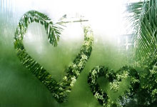 开云体育官网：南湾湖人无缘季后赛，布朗尼场均贡献21.9分5.3篮板5.3助攻2抢断！.