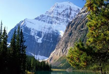 开云体育官网：字母哥与约基奇 领跑NBA全明星投票.