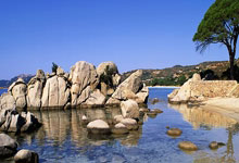 西甲官方：巴萨仍违反公平竞赛规则，无法注册奥尔莫和维克托.